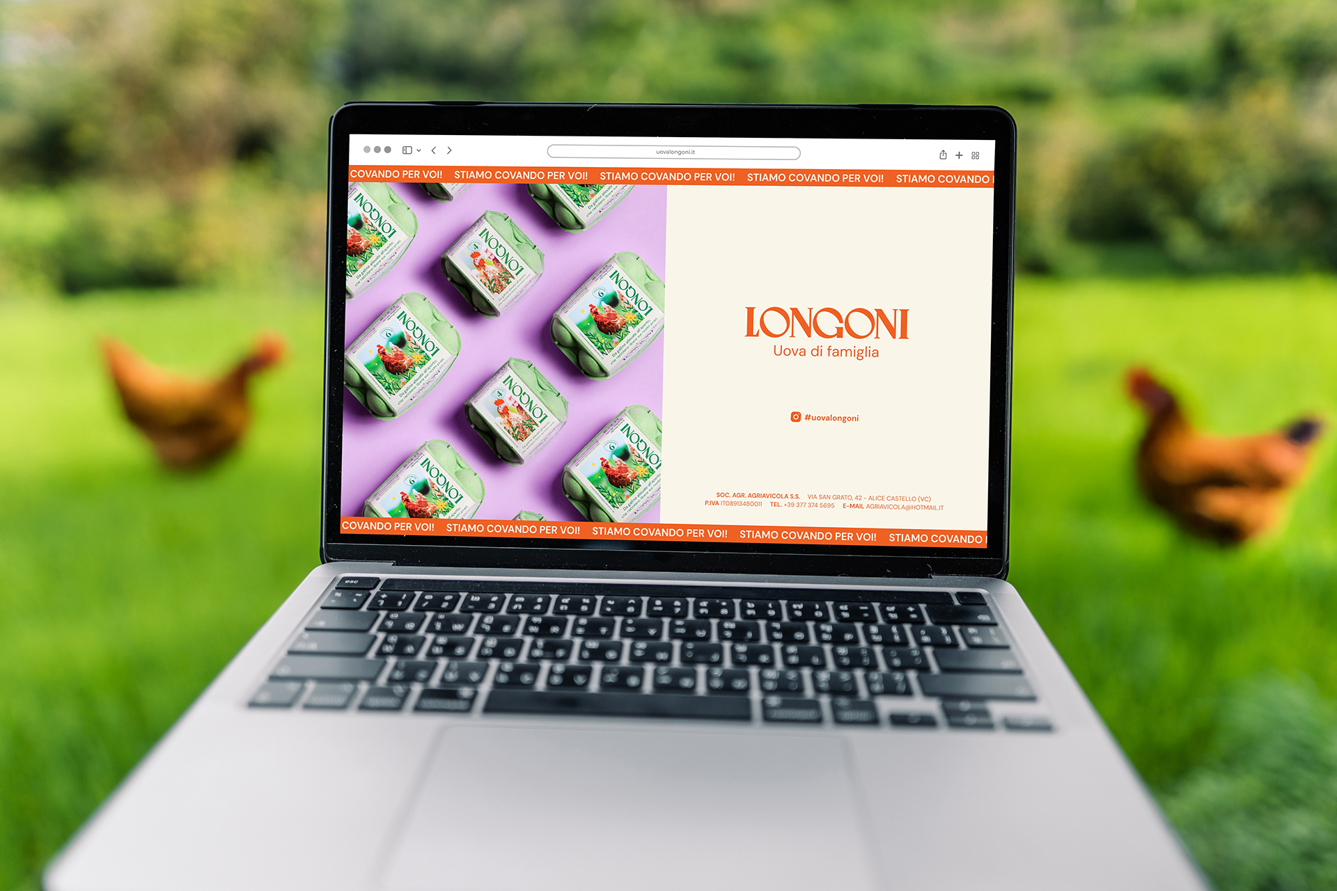 LONGONI STIAMO COVANDO PER VOI &mdash; Punctum