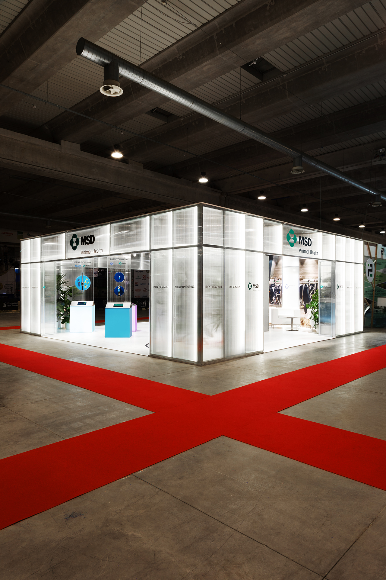 1L3A3708 copia &mdash; Punctum