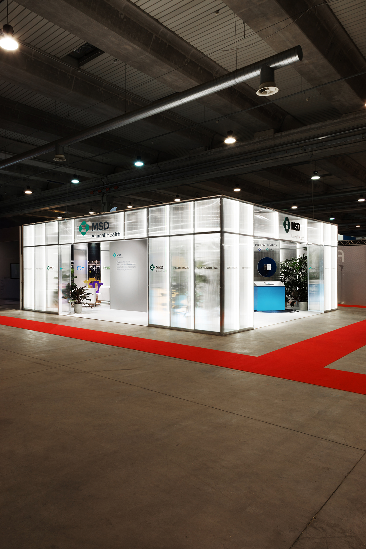 1L3A3714 copia &mdash; Punctum