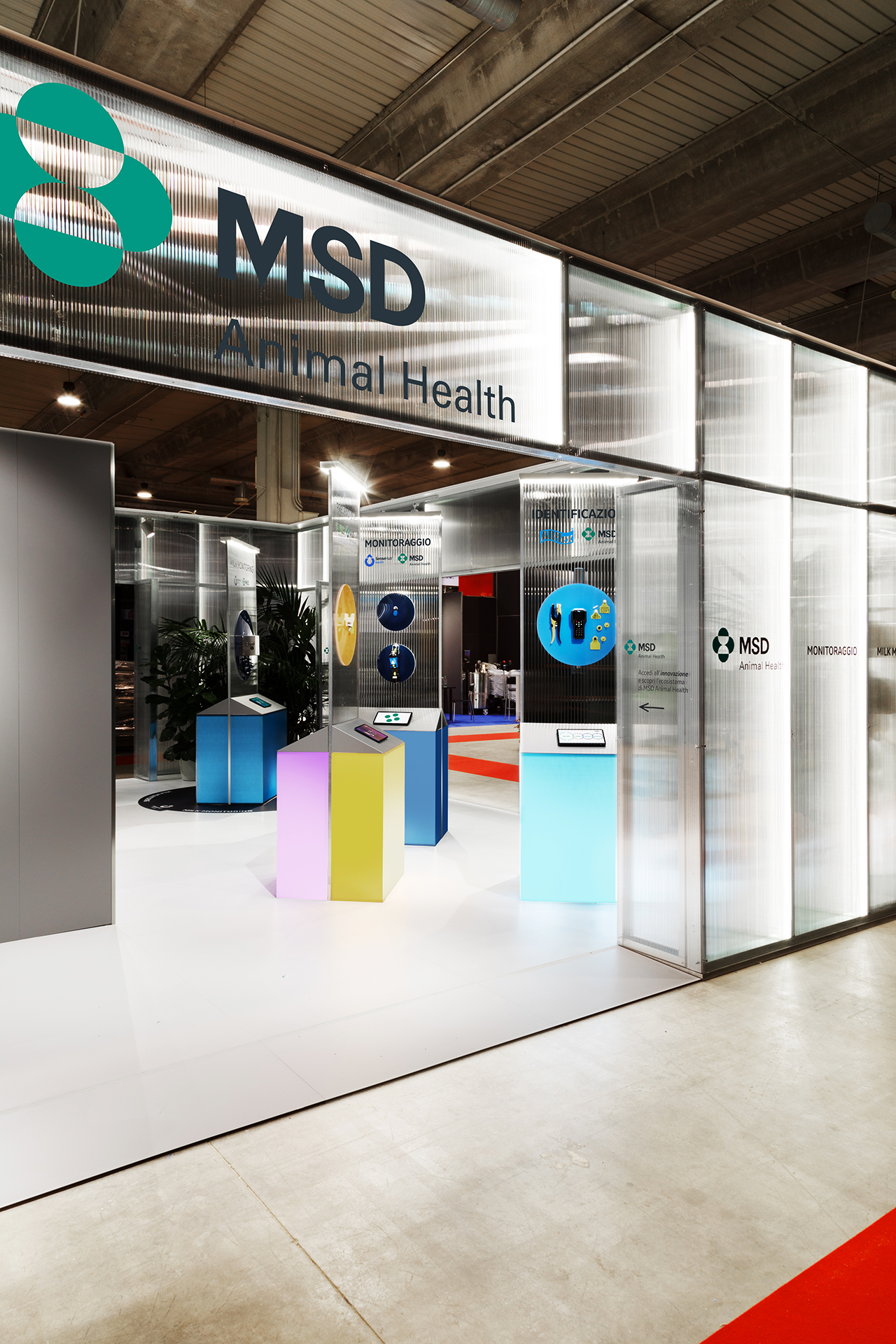 1L3A3735 copia &mdash; Punctum