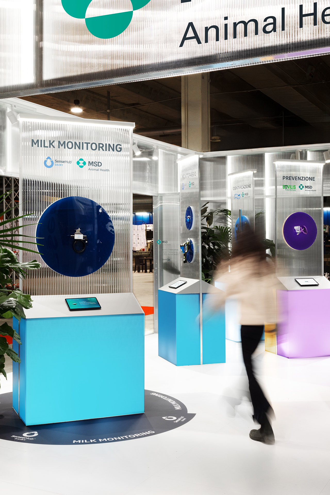 1L3A3870 copia &mdash; Punctum