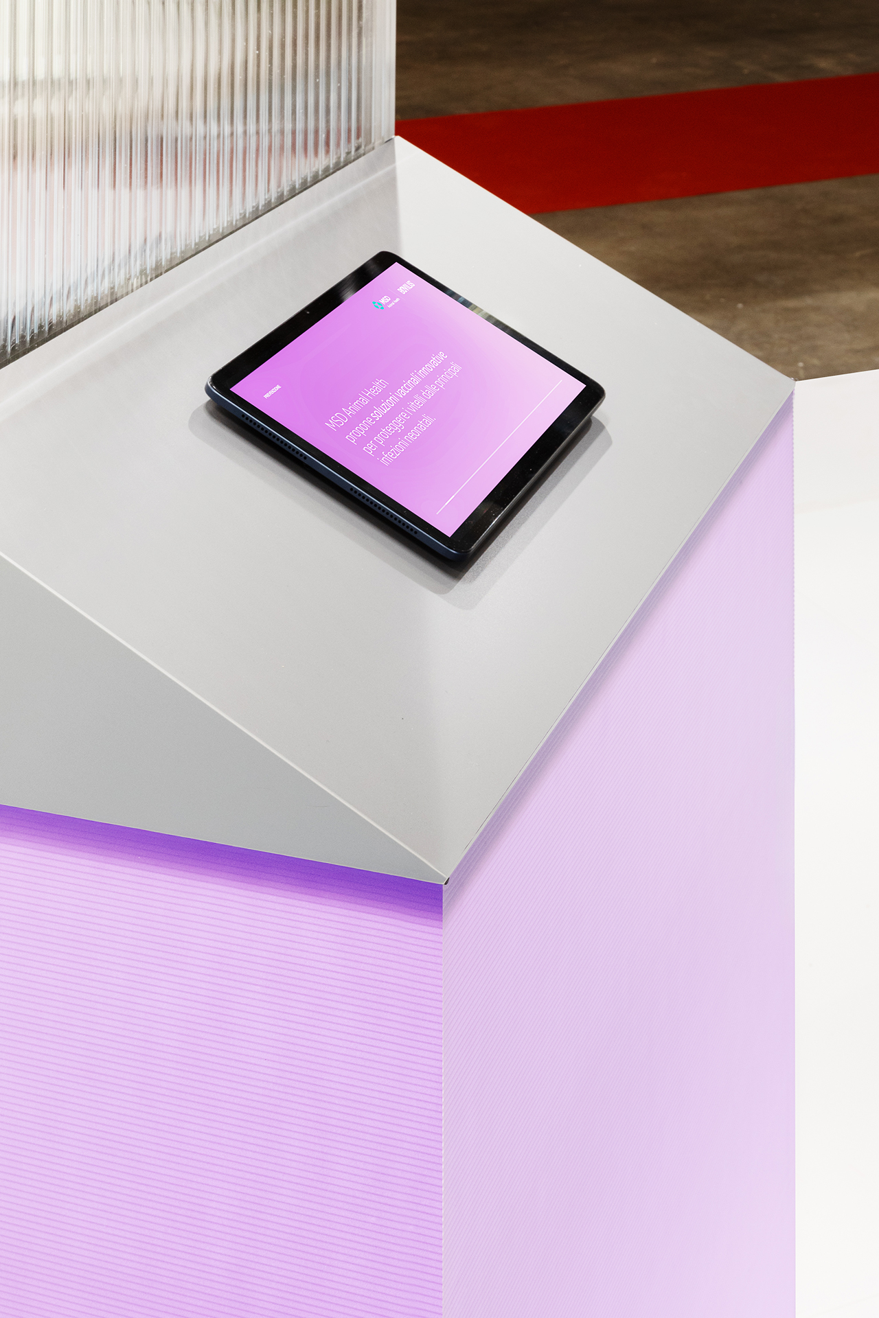 1L3A3882 copia &mdash; Punctum