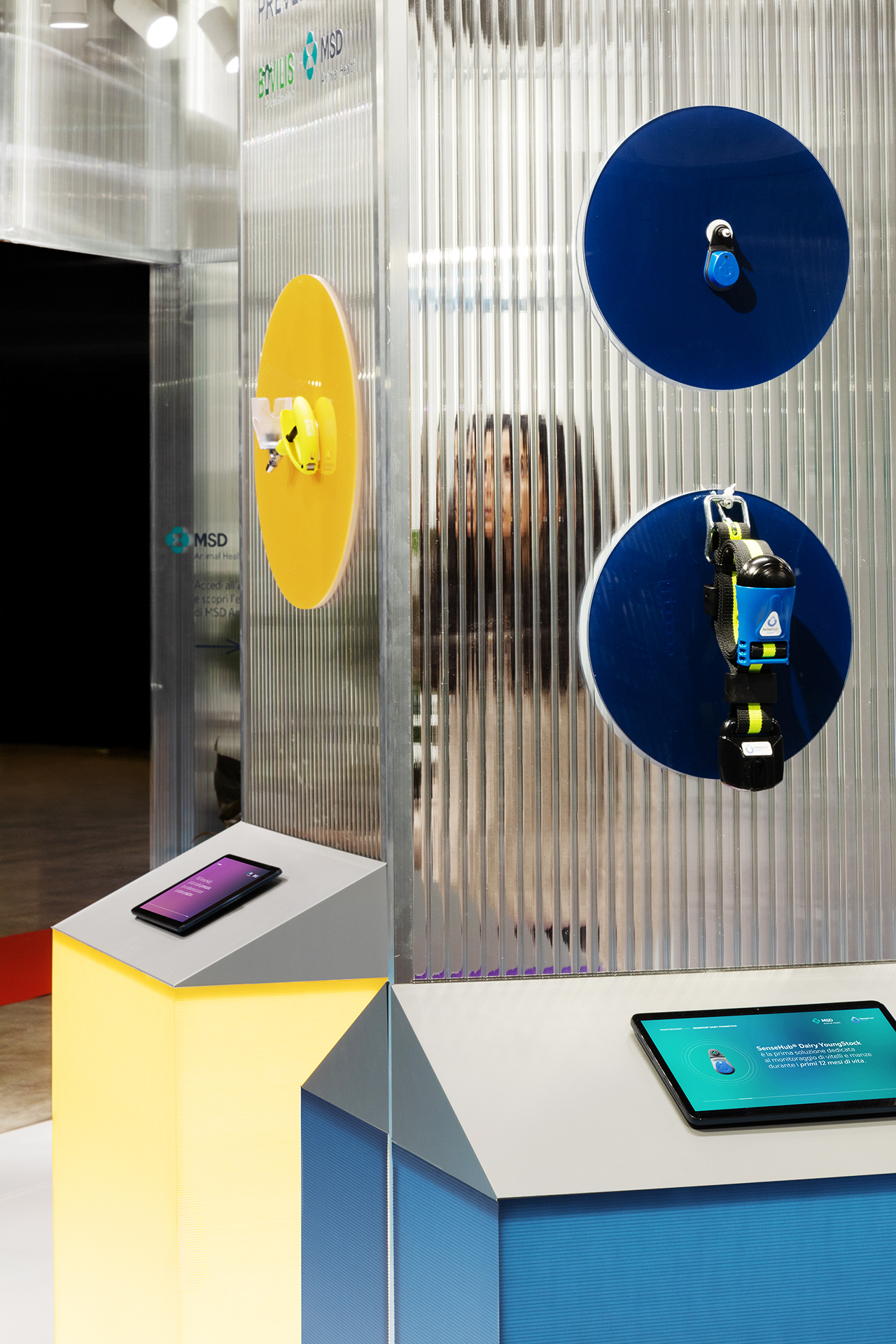 1L3A3906 copia &mdash; Punctum