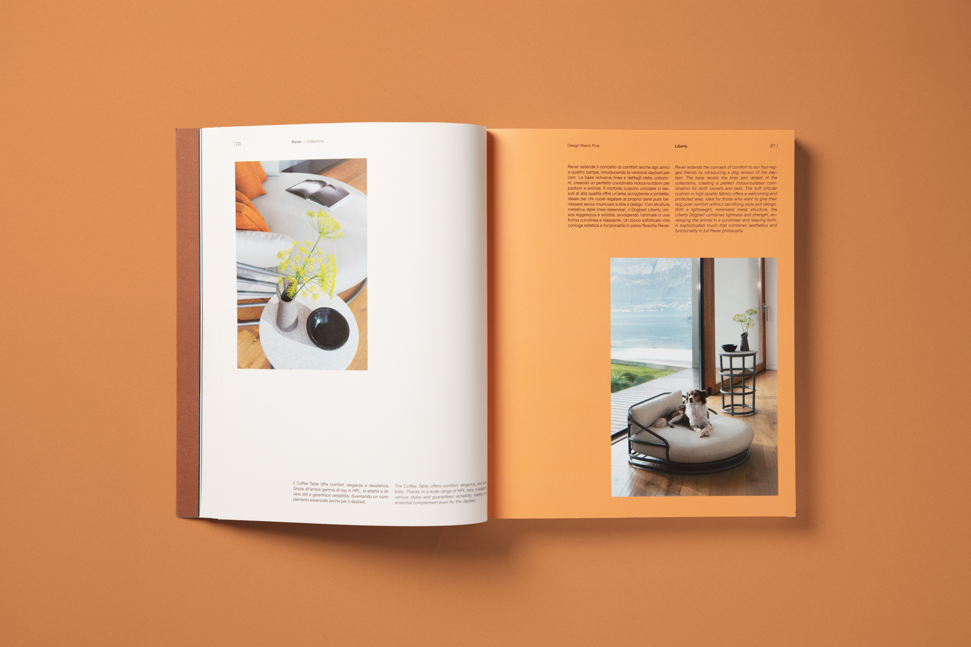 1L3A6586 &mdash; Punctum