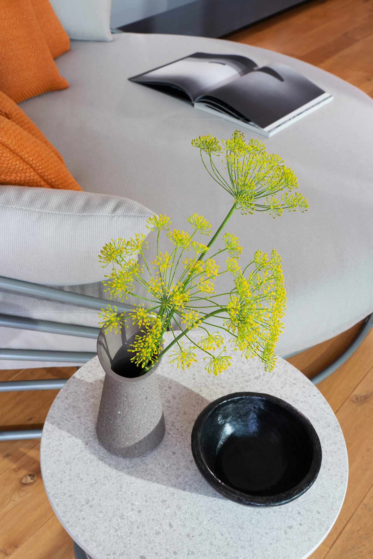 DSC9237 copia &mdash; Punctum